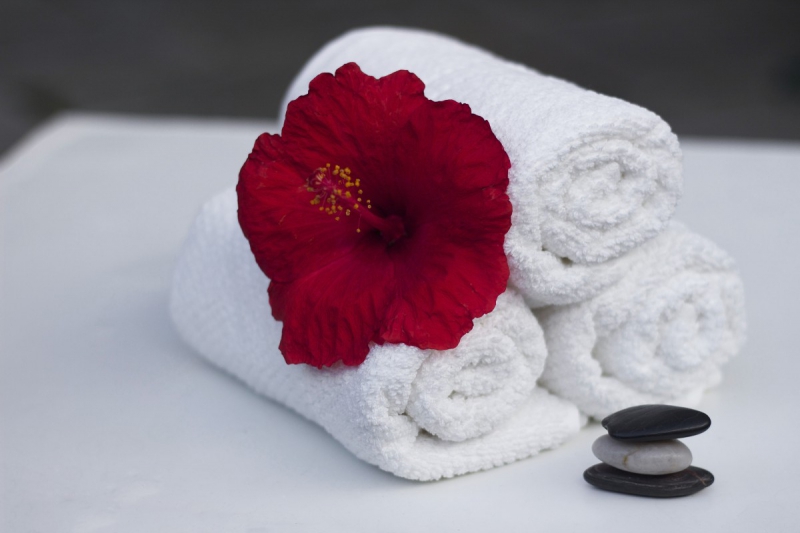 chambre-hote-AMIRAT-min_towel_hibiscus_clean_care_salon_spa_white_bath-869834